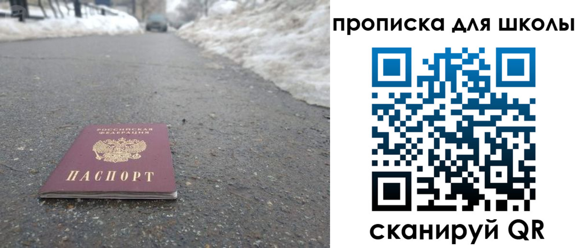 прописка для школы в Пушкино